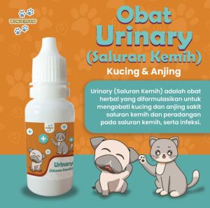 Obat Urinary