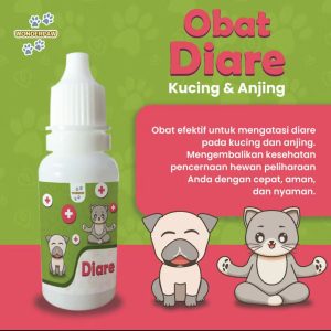 Obat Diare