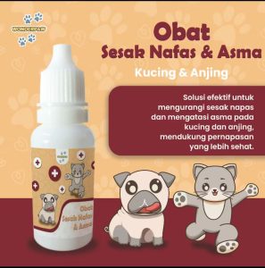 Obat Sesak Nafas dan Asma