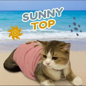 Sunny Top