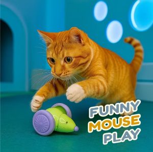Funny Mouse Play